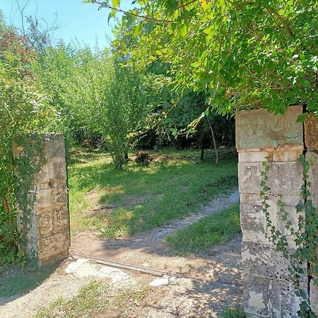 Vila La Colline Aux Oiseaux, La Tranquillite Des Bois Molieres-sur-Ceze Exteriér fotografie