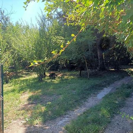 Vila La Colline Aux Oiseaux, La Tranquillite Des Bois Molieres-sur-Ceze Exteriér fotografie