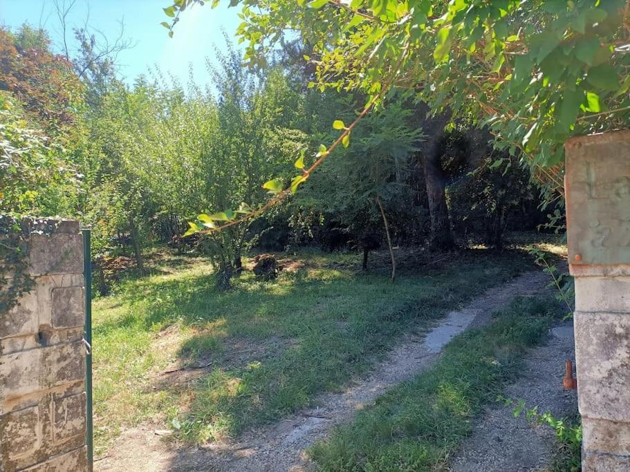 Vila La Colline Aux Oiseaux, La Tranquillite Des Bois Molieres-sur-Ceze Exteriér fotografie