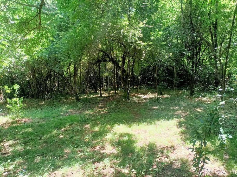Vila La Colline Aux Oiseaux, La Tranquillite Des Bois Molieres-sur-Ceze Exteriér fotografie